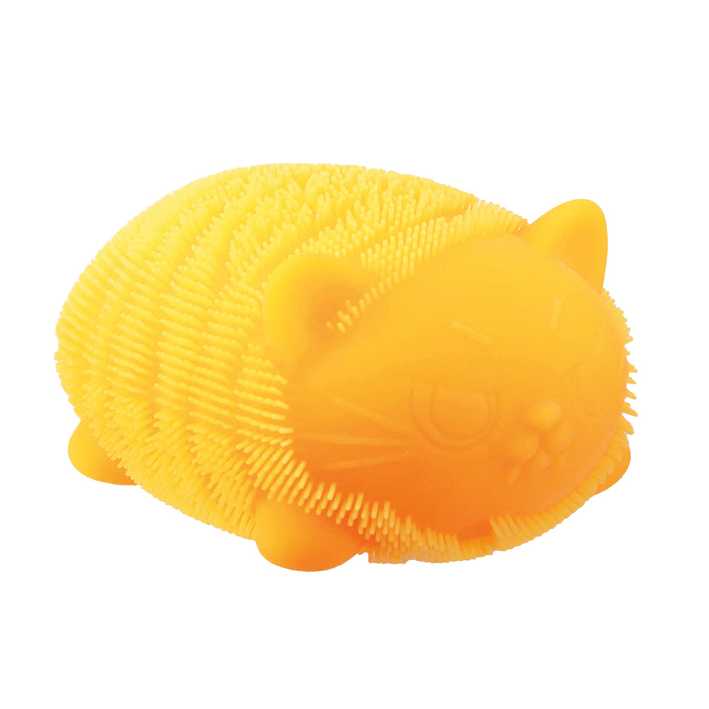 WCFZBND_Image8
